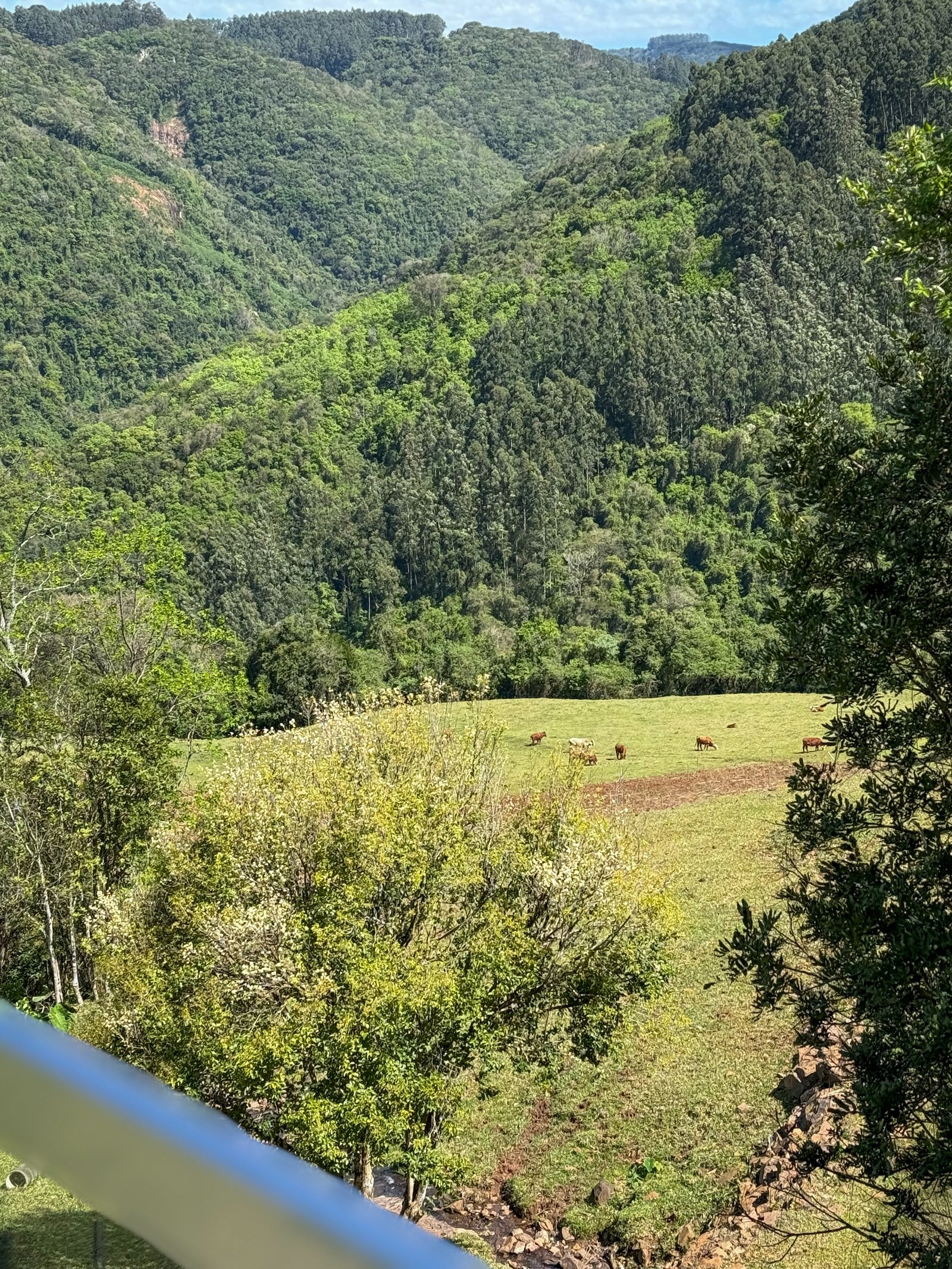 Vista verde do vale e das montanhas ao redor da Cabana Miragem